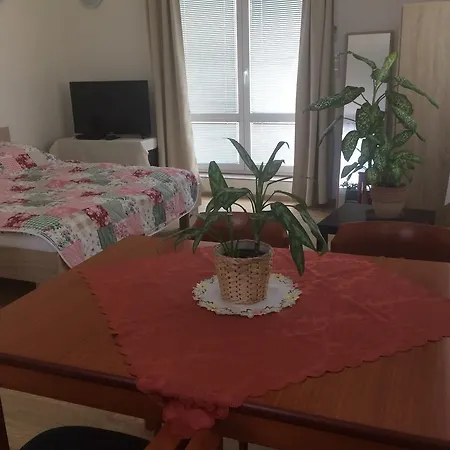 布拉格4号公寓 *